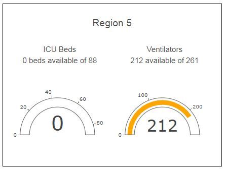 illinois region 5 hospital beds2.JPG